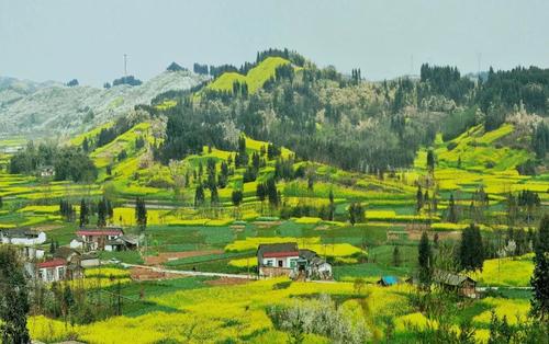 新形勢下鄉(xiāng)村旅游發(fā)展的“?！薄皺C”“策”