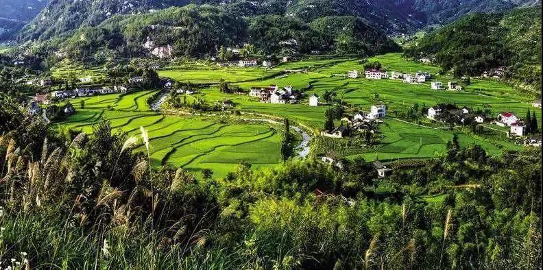 農(nóng)旅康養(yǎng)旅游項目，策劃才是靈魂！